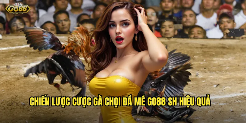 Gà chọi đá mé go88 sh - Thuật ngữ quan trọng trong làng đá gà chuyên nghiệp 3 Chiến lược cược gà chọi đá mé go88 sh hiệu quả