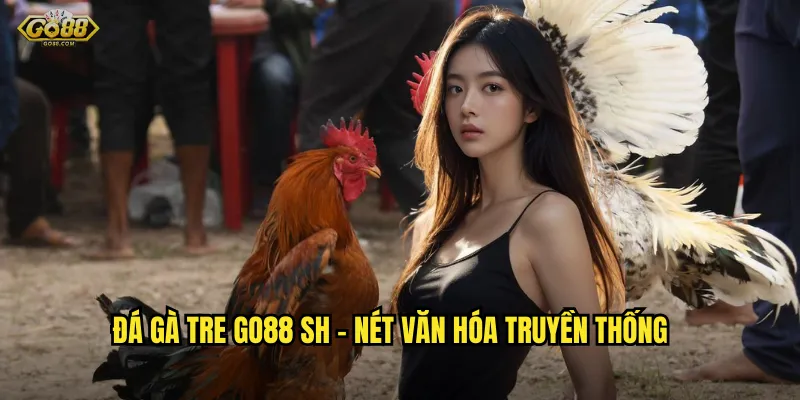 Đá gà tre go88 sh - Giống gà Việt Nam bản lĩnh và dũng mãnh 2 Đá gà tre go88 sh - Nét văn hóa truyền thống