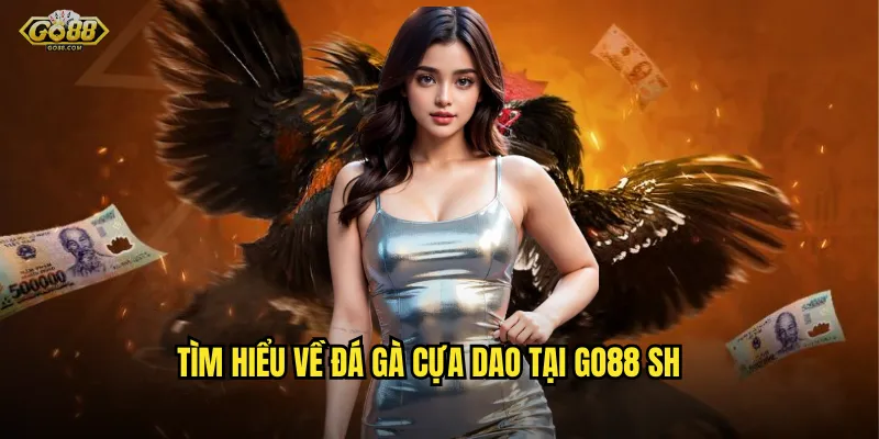 Đá gà cựa dao go88 sh - Trận chiến nhanh gọn, thưởng cực lớn 2 Tìm hiểu về đá gà cựa dao tại go88 sh
